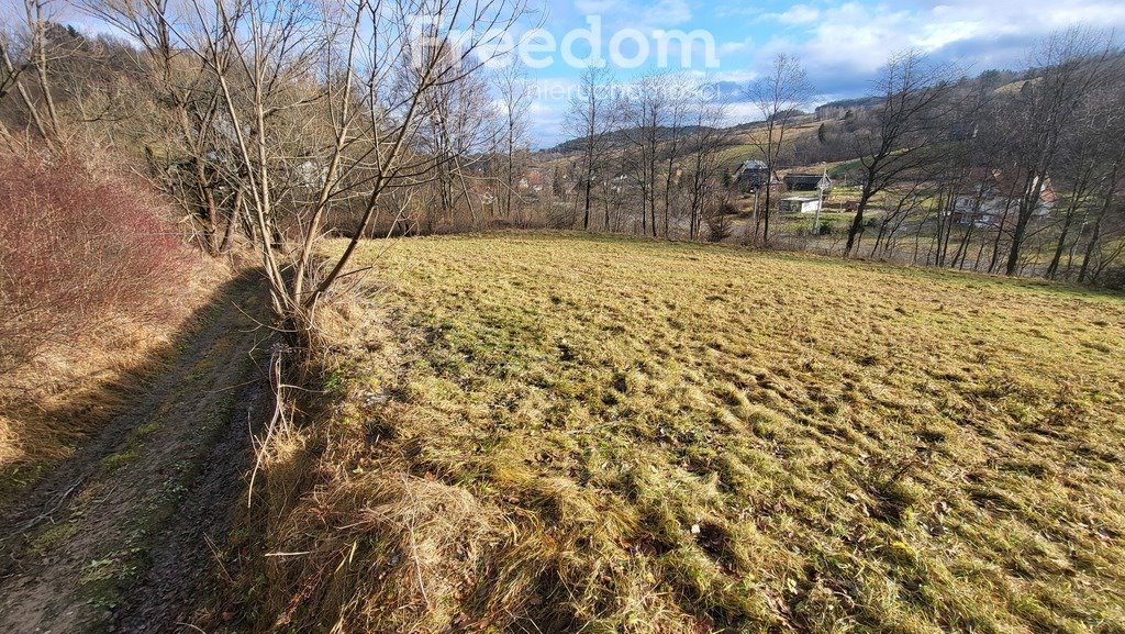 Działka budowlana na sprzedaż Górzanka  2 280m2 Foto 11