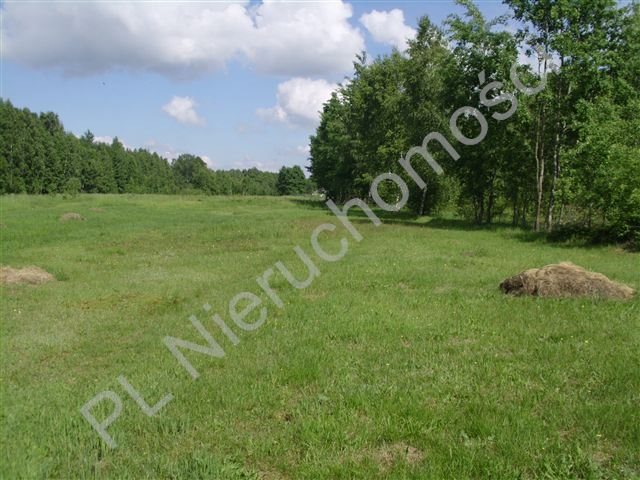 Działka budowlana 1500 m² w Czarnym Lesie, media w drodze Czarny Las  1 500m2 Foto 1