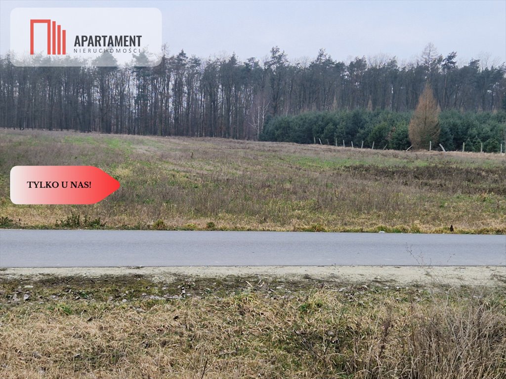 Działka 10200 m² pod zabudowę, las, jeziora, cisza Rogowo  10 200m2 Foto 1