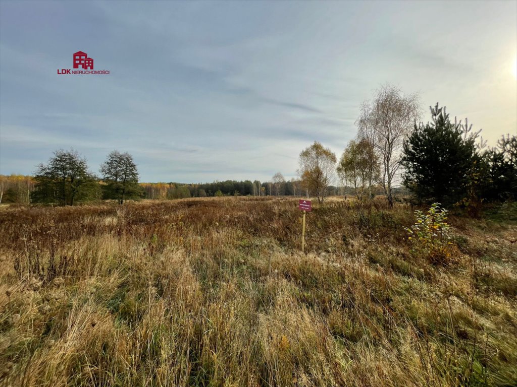 Działka budowlana na sprzedaż Zielona Góra  35 300m2 Foto 11