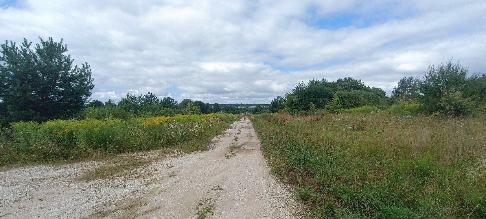 Działka budowlana na sprzedaż Bilcza, Orla  3 600m2 Foto 6