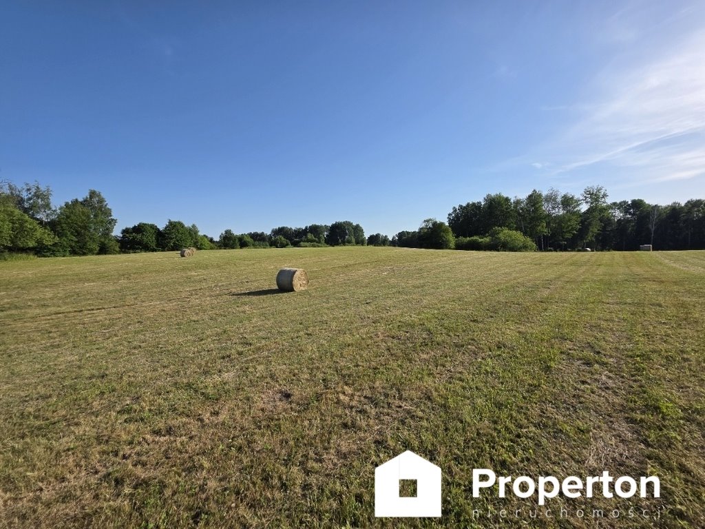 Działka rolna 1,5 ha w Butrynach – gotowa do użytkowania Butryny  15 000m2 Foto 1