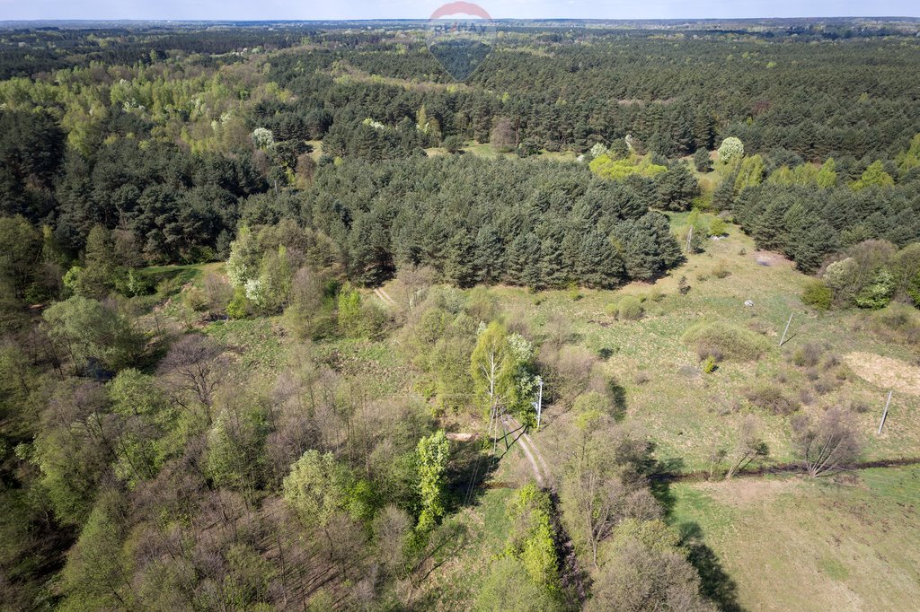 Działka leśna z prawem budowy na sprzedaż Skrzeszew, Olszankowa  23 411m2 Foto 15