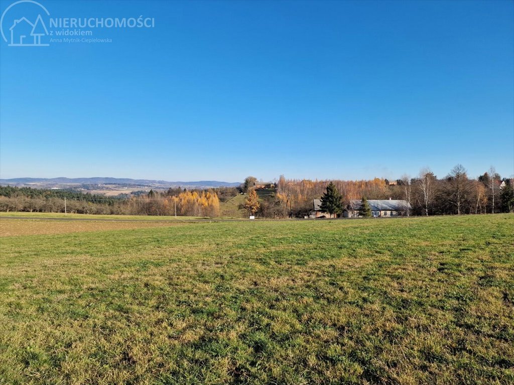 Działka budowlana na sprzedaż Turza  2 517m2 Foto 6