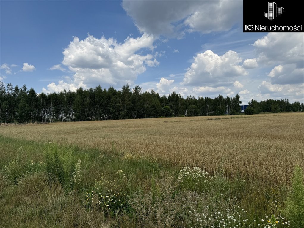 Działka przemysłowo-handlowa na sprzedaż Ujrzanów  37 000m2 Foto 11