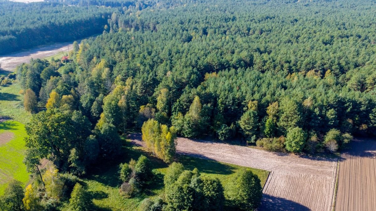 Działka leśna na sprzedaż Michałowo  36 000m2 Foto 12