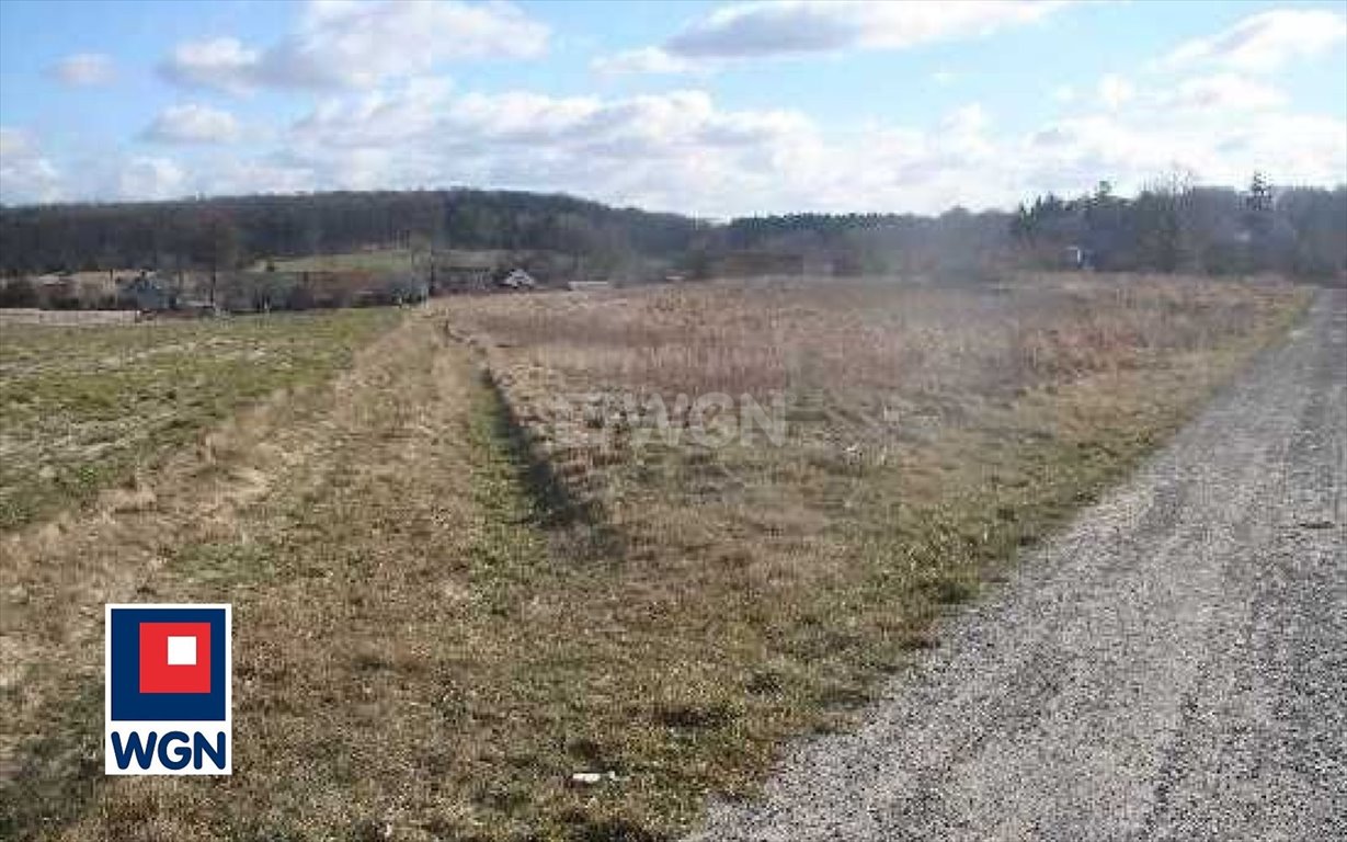 Działka 1000 m² pod zabudowę w Wielkiej Lipie - polecam! Wielka Lipa, Wielka Lipa, Wielka lipa  1 000m2 Foto 1