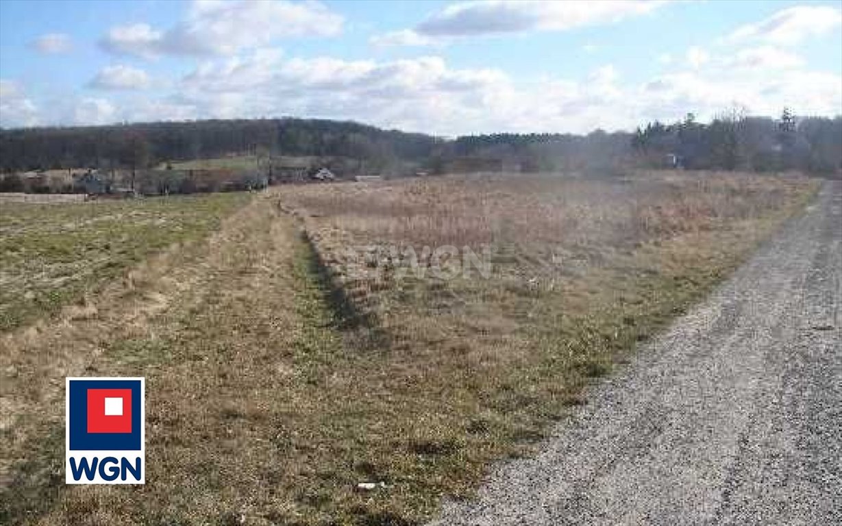 Działka budowlana na sprzedaż Wielka Lipa, Wielka Lipa, Wielka lipa  6 017m2 Foto 2