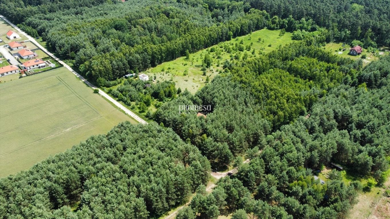 Działka inna na sprzedaż Ostrowina, Aleja Lipowa  3 371m2 Foto 13