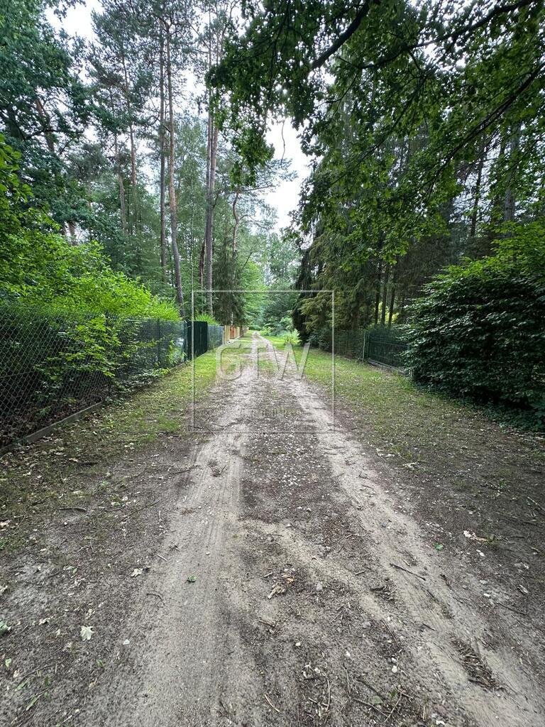 Polecam leśną działkę 3500 m² z prawem zabudowy w Jeziorach Jeziora  3 500m2 Foto 1