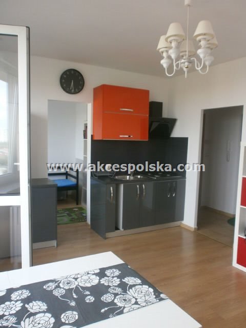 Wynajmę przestronne studio 32 m² z balkonem w Warszawie Warszawa, Mokotów, Służew, Puławska  32m2 Foto 1