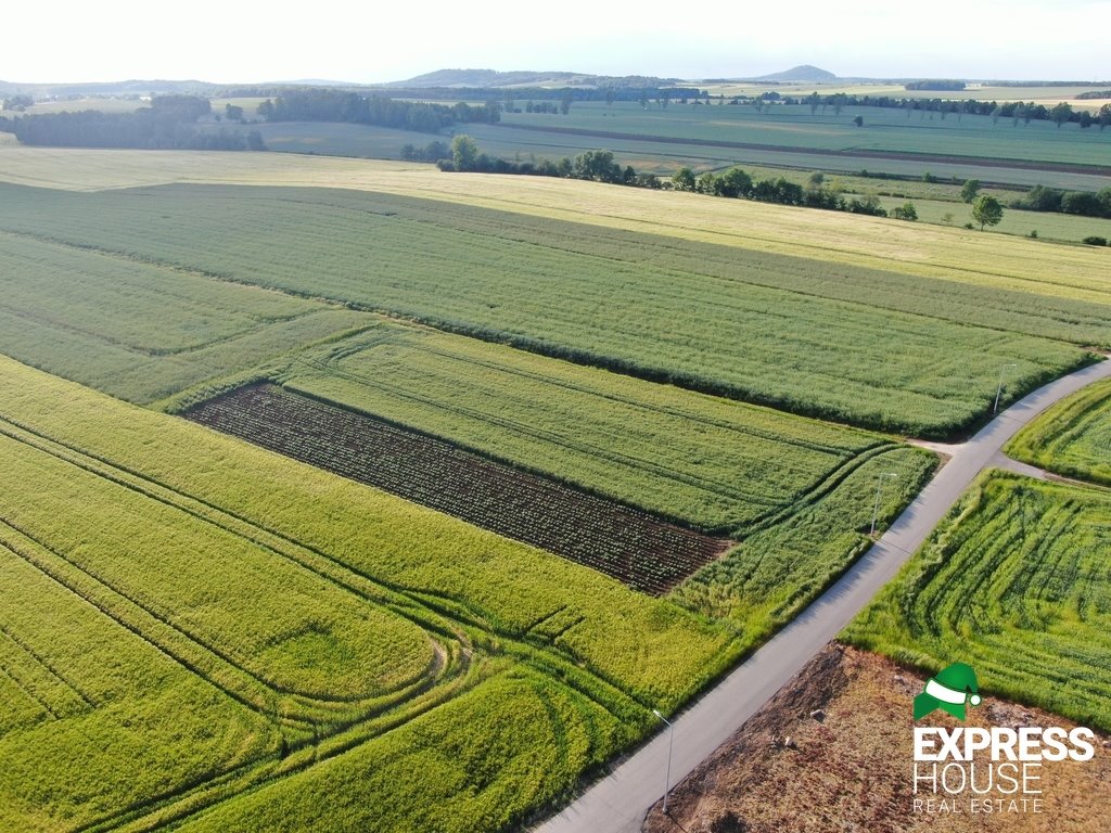 Działka budowlana na sprzedaż Pielgrzymka  4 400m2 Foto 4