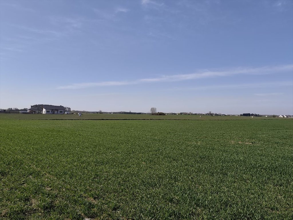 Działka rolna 11,6 ha z mediami i lasem polecam Jerzykowo  116 083m2 Foto 1