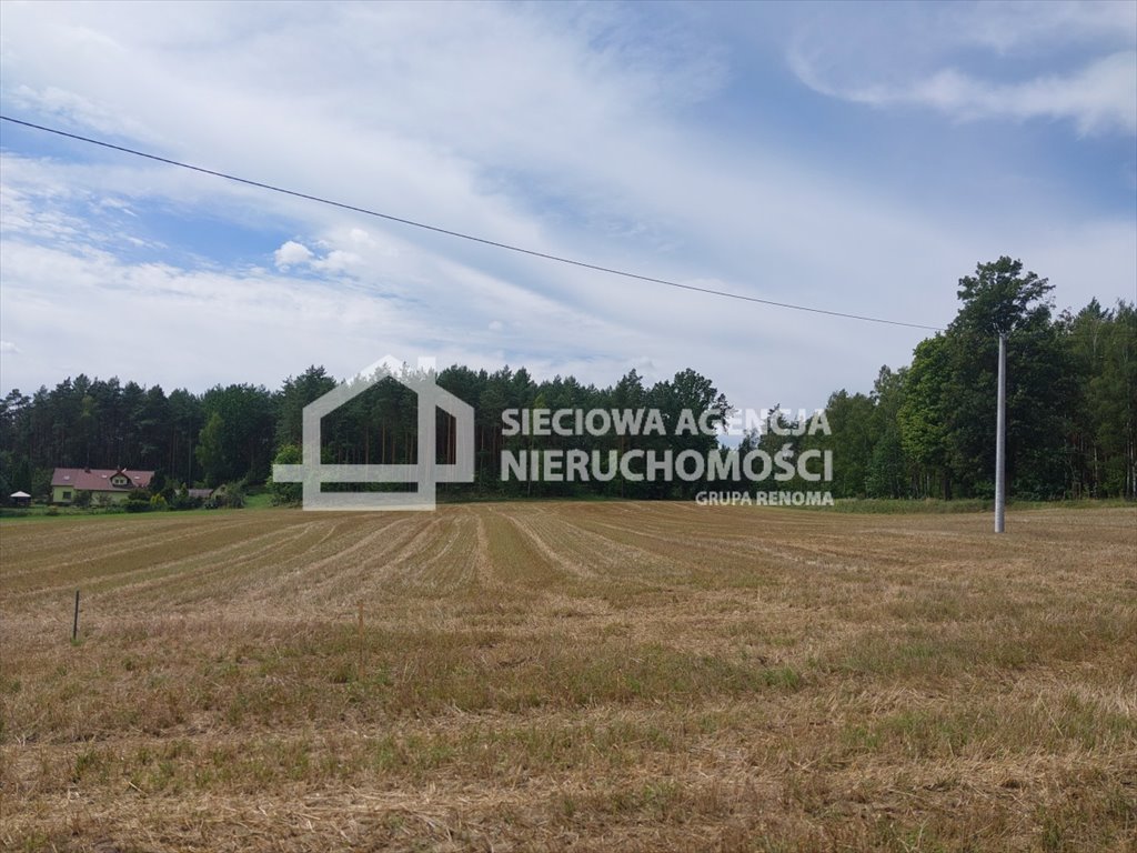 Działka siedliskowa na sprzedaż Grabowo  3 271m2 Foto 3