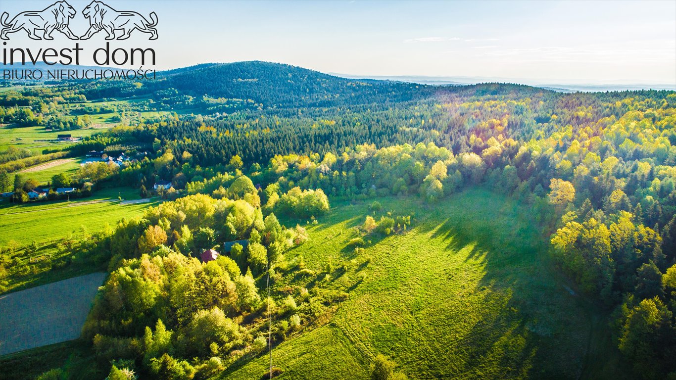 Działka budowlana na sprzedaż Wójtowa  4 351m2 Foto 15