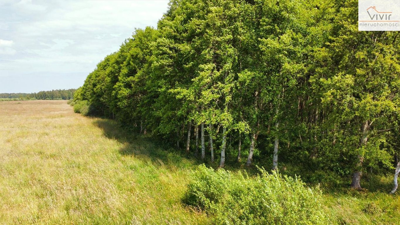 Działka inna na sprzedaż Rzuszcze  30 900m2 Foto 8