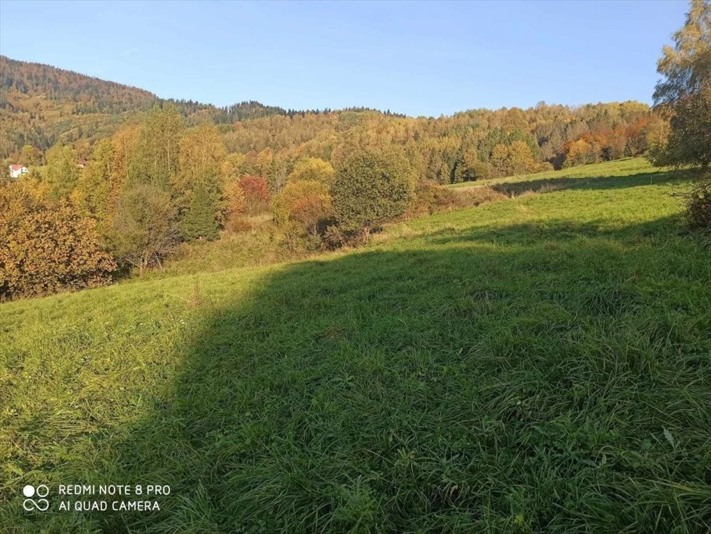 Działka rolna na sprzedaż Rajcza  3 237m2 Foto 7