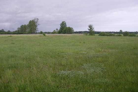 Działka rolna 10 740 m² z wodą i prądem w Ojrzeniu Ojrzeń, Ciechanowska  10 740m2 Foto 1