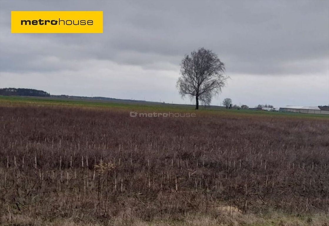 Działka budowlana na sprzedaż Zbuczyn  106 275m2 Foto 1