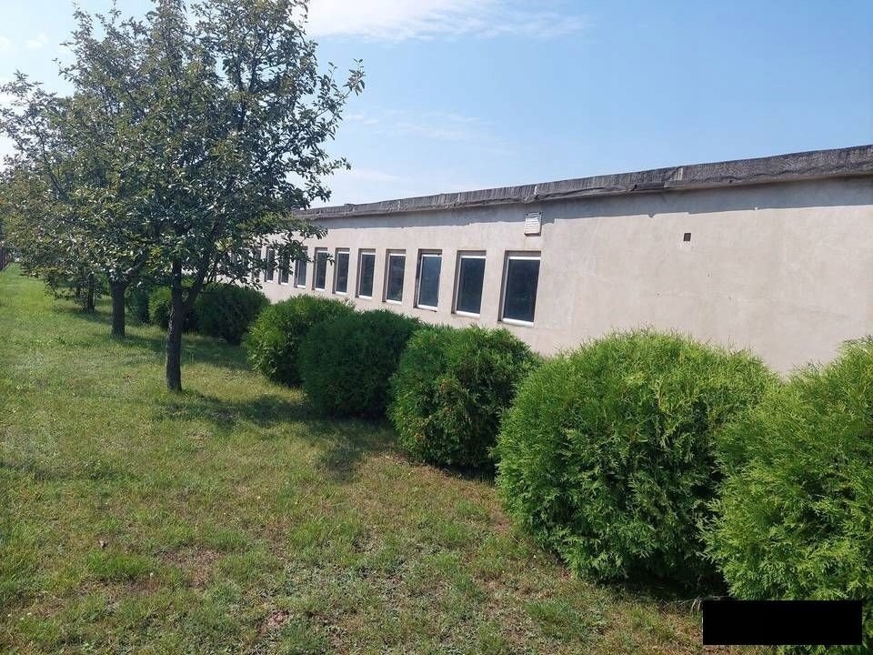 Działka inwestycyjna na sprzedaż Kutno, Józefów  7 471m2 Foto 4