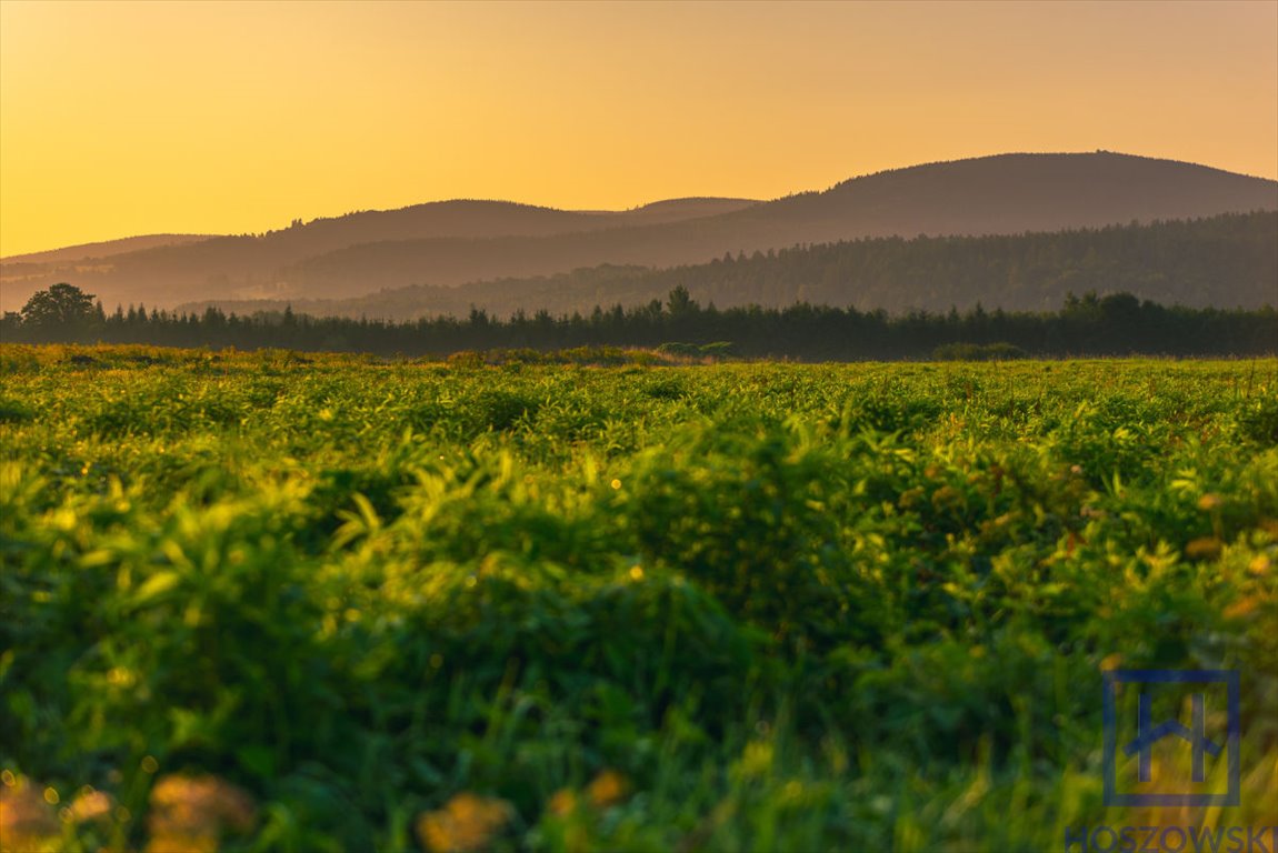 Działka 1500 m² z widokiem na góry w Świeradowie Świeradów-Zdrój, Jarzębinowa  1 500m2 Foto 1
