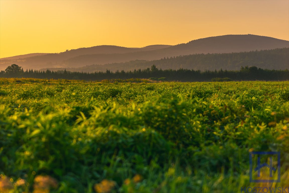 Działka budowlana na sprzedaż Świeradów-Zdrój, Jarzębinowa  1 500m2 Foto 1