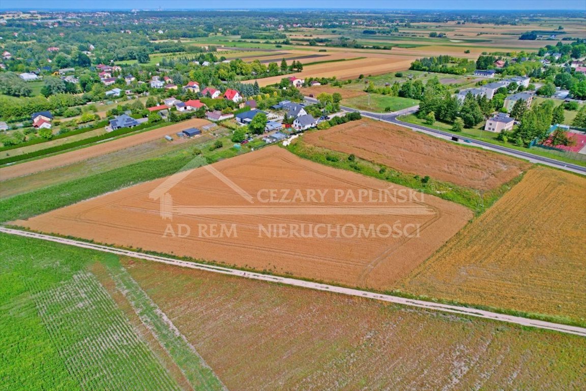 Zdjęcie 4