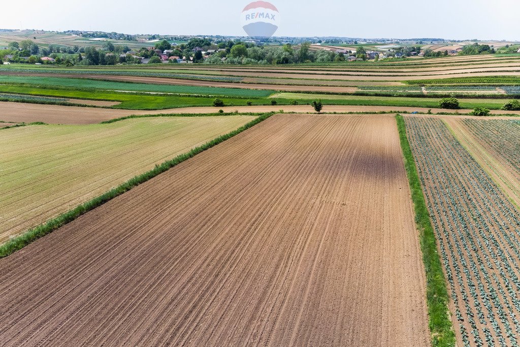 Działka budowlana na sprzedaż Stręgoborzyce  5 330m2 Foto 3