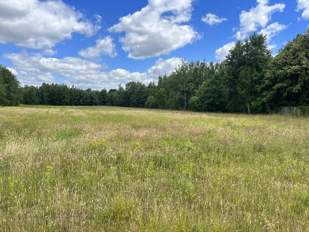 Działka budowlana na sprzedaż Helenów, 100-lecia  7 765m2 Foto 2