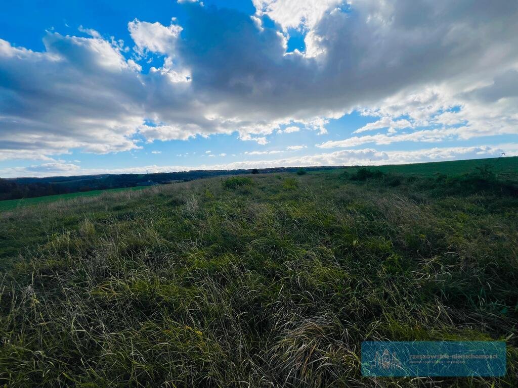 Działka budowlana na sprzedaż Rzeszów, Budziwój  5 700m2 Foto 3