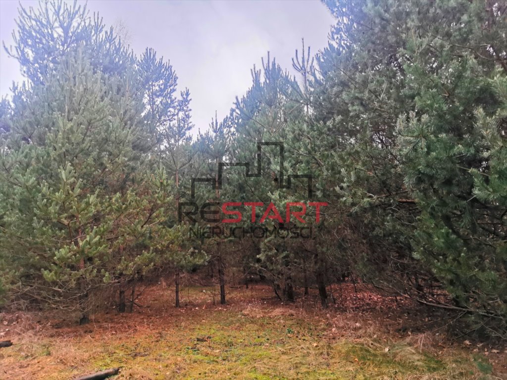 Działka budowlana na sprzedaż Osowiec  999m2 Foto 2