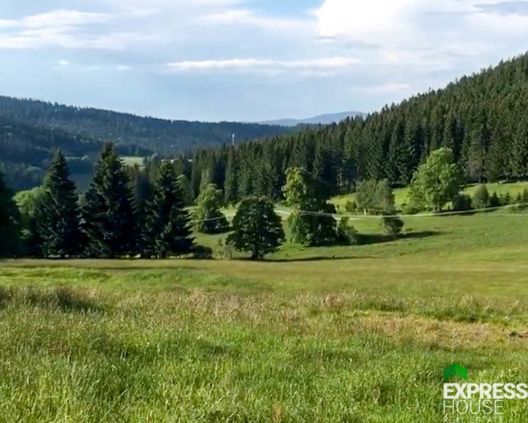 Działka budowlana na sprzedaż Stronie Śląskie  4 069m2 Foto 15