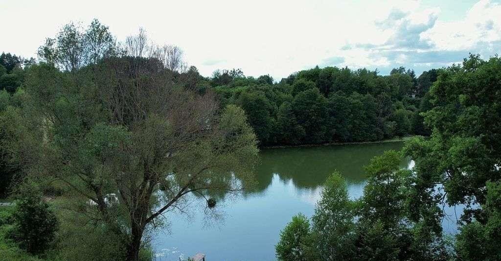 Działka budowlana na sprzedaż Cierzpięty  1 002m2 Foto 1