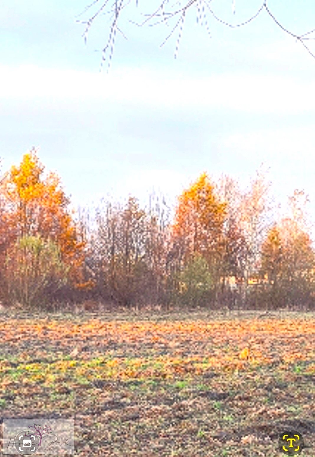 Działka budowlana na sprzedaż Feliksów  1 240m2 Foto 4