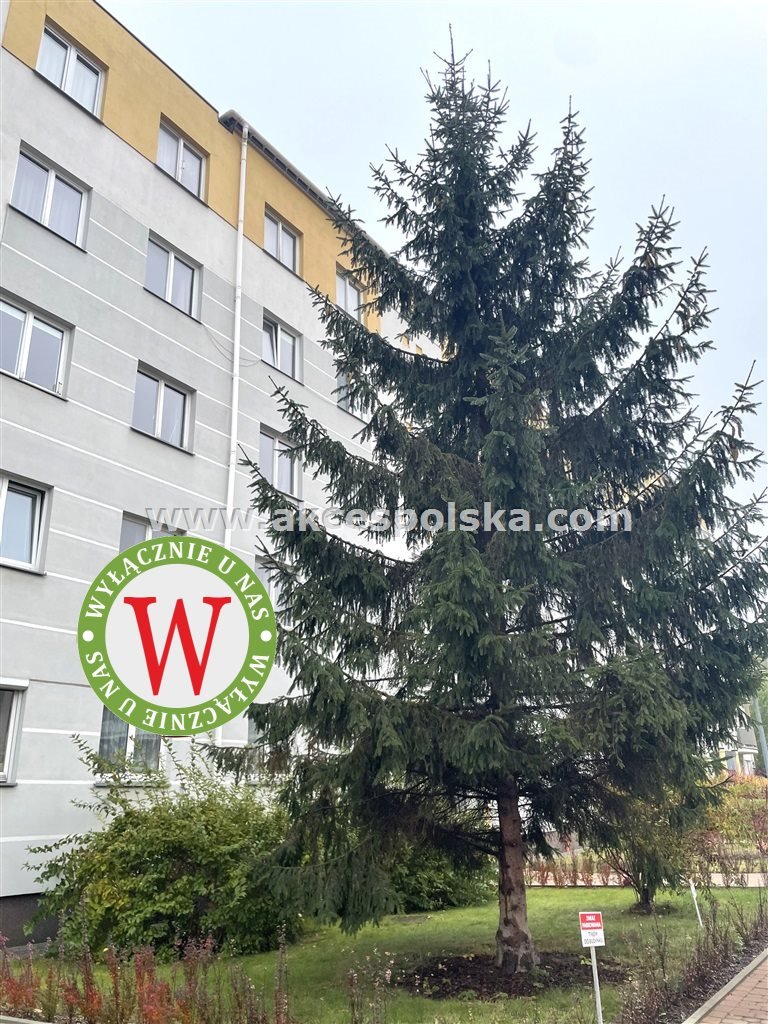 Mieszkanie trzypokojowe na wynajem Warszawa, Ursynów, Zaruby  78m2 Foto 13