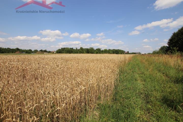 Działka budowlana na sprzedaż Łężany  3 930m2 Foto 6