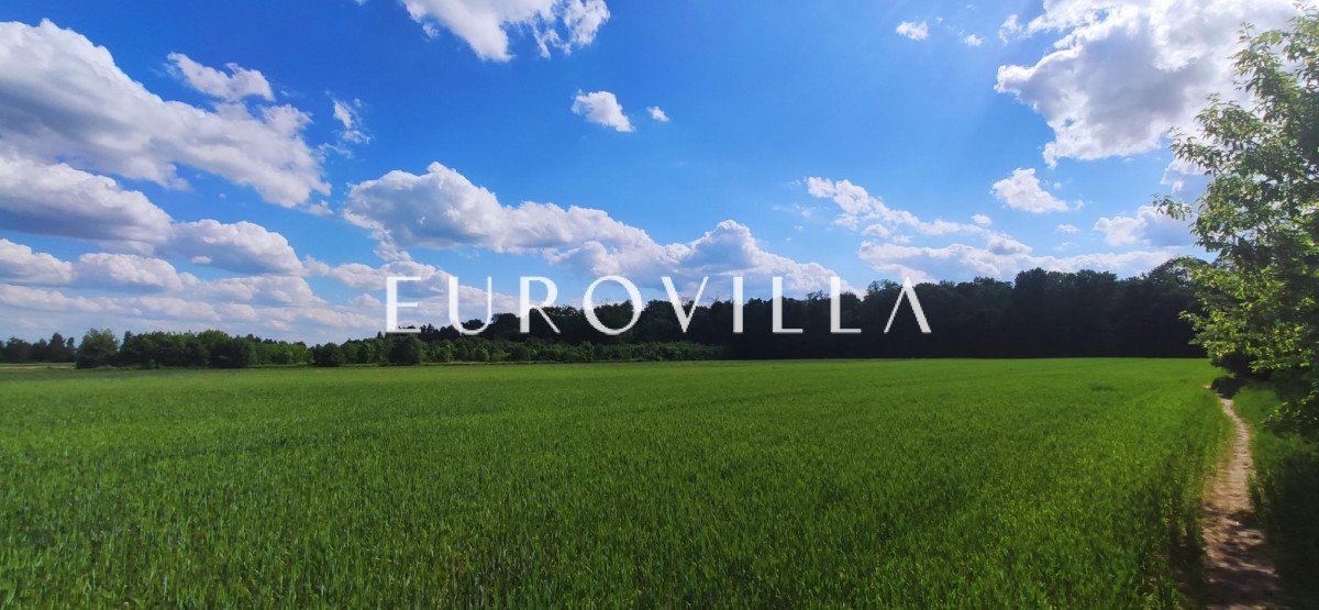 Działka inwestycyjna 13 400 m2 w Wilanowie z MPZP Warszawa, Wilanów, Wiedeńska  13 400m2 Foto 1