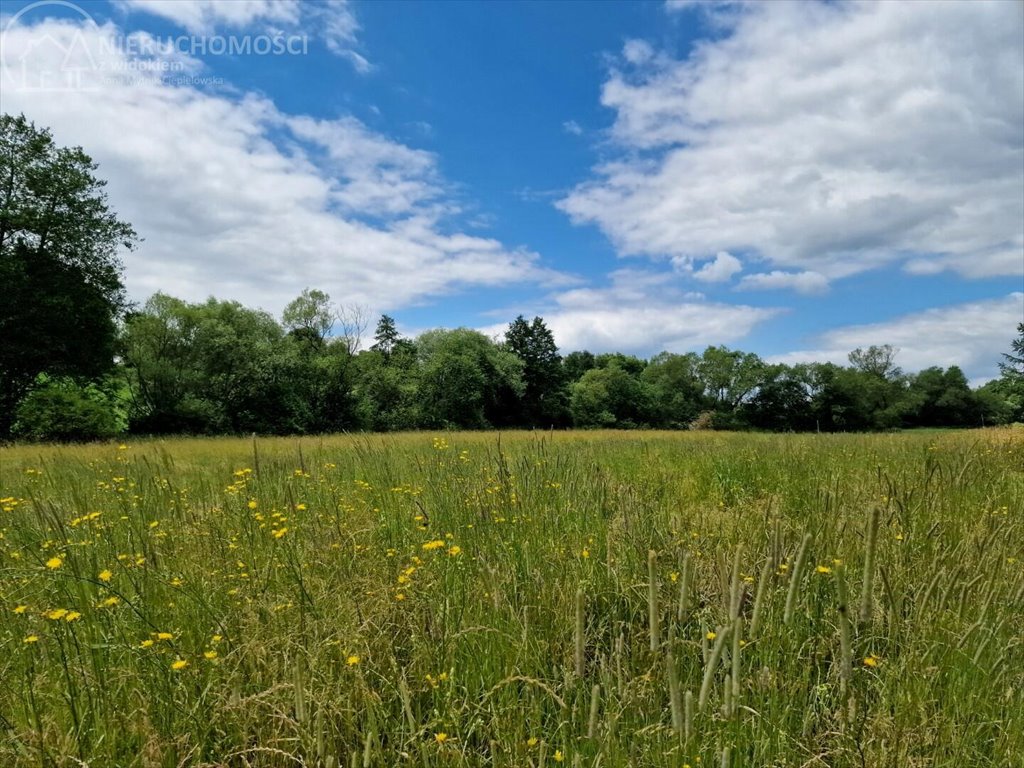 Działka budowlana na sprzedaż Sitnica  10 602m2 Foto 13