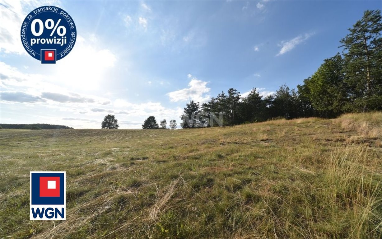 Działka budowlana na sprzedaż Zebrzydowa, centrum  1 500m2 Foto 13