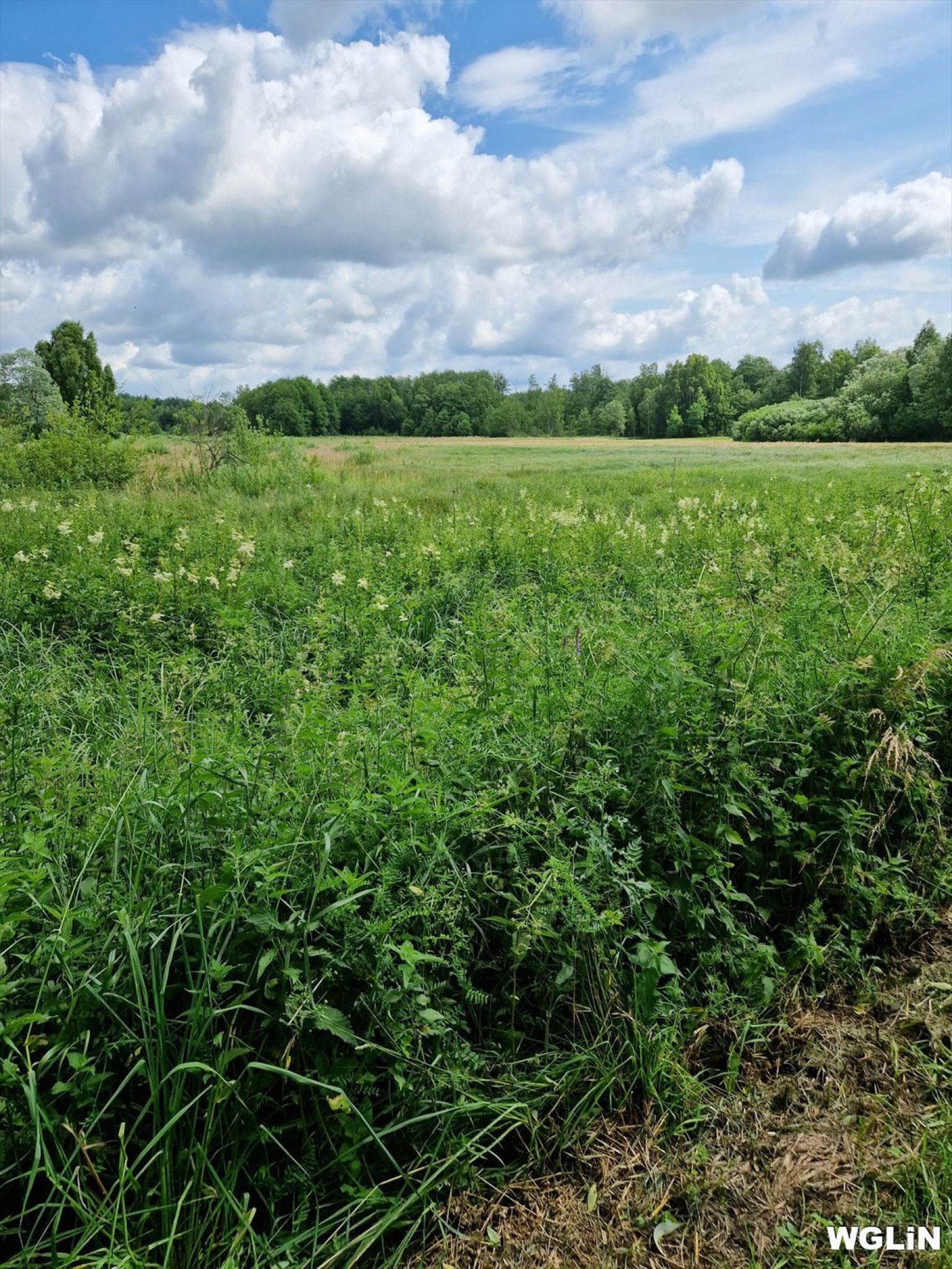 Działka budowlana na sprzedaż Jurki, Jurki  20 900m2 Foto 6