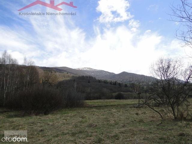 Malownicza działka 20 000 m² z dostępem do rzeki i gór Cisna  20 000m2 Foto 1