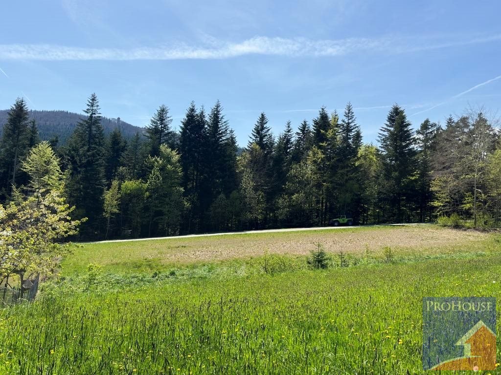 Działka 4100 m² z lasem i terenem rekreacyjnym - polecam! Roztoka  4 100m2 Foto 1