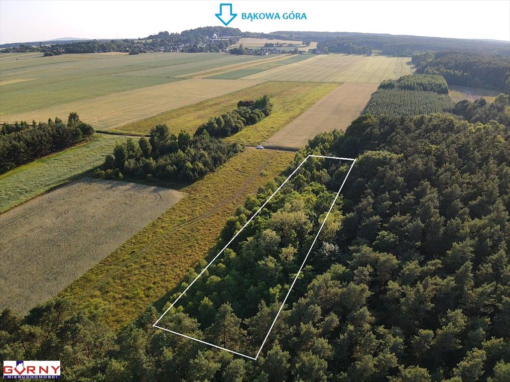 Działka rolna na sprzedaż Bąkowa Góra  4 000m2 Foto 2