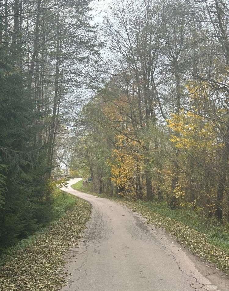 Dom na sprzedaż Grądy-Możdżenie, Grądy-Możdżenie 3  200m2 Foto 14