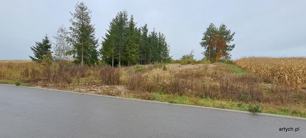 Malownicza działka 1809 m² z widokiem na zalew (przeznaczona pod budownictwo) Kupientyn  1 809m2 Foto 1