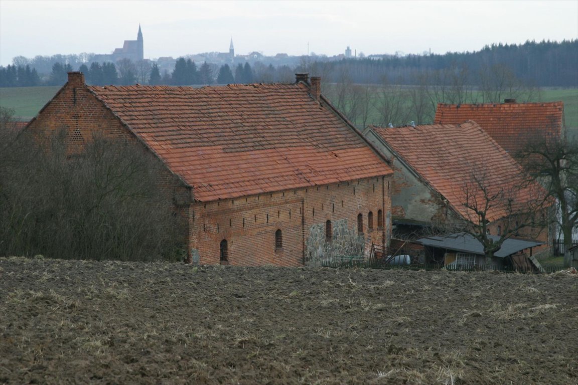 Lokal użytkowy na sprzedaż Wińsko  470 000m2 Foto 7