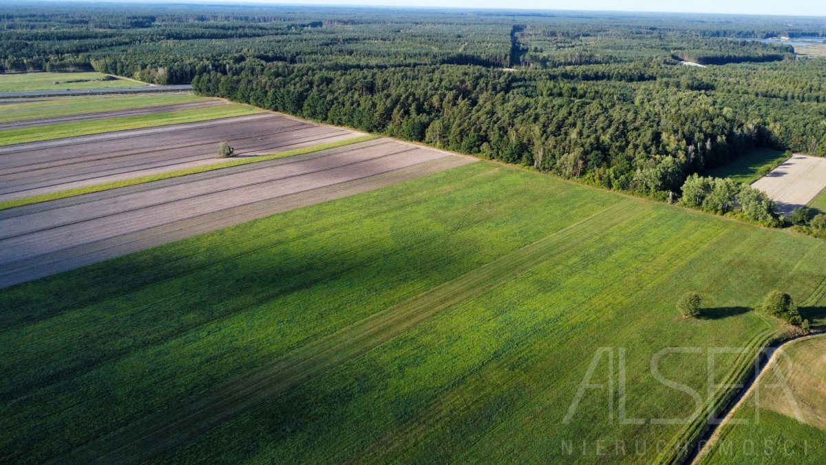 Działka inwestycyjna na sprzedaż Trzcianka  12 646m2 Foto 11