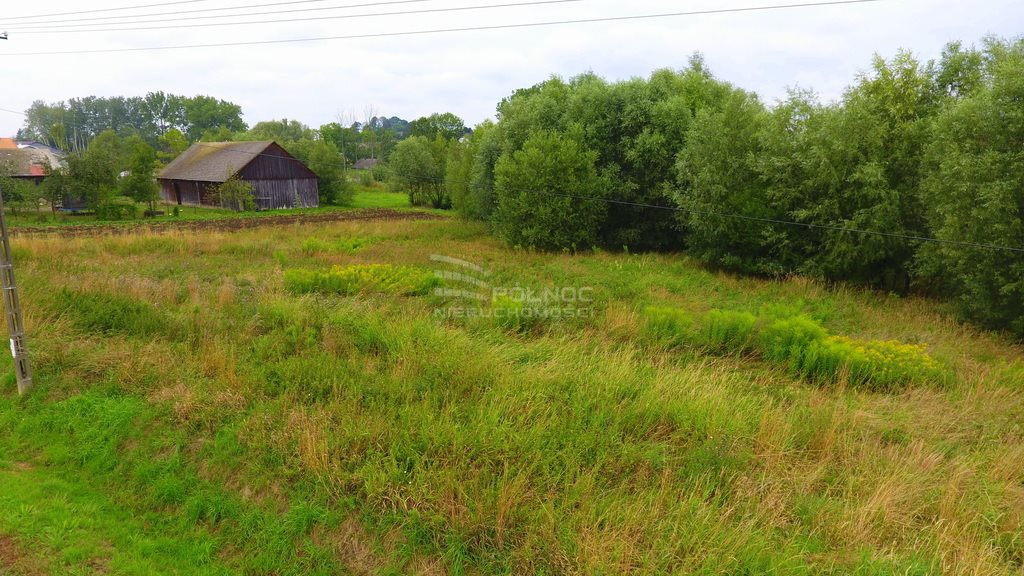 Działka budowlana na sprzedaż Dobranowice  7 800m2 Foto 8