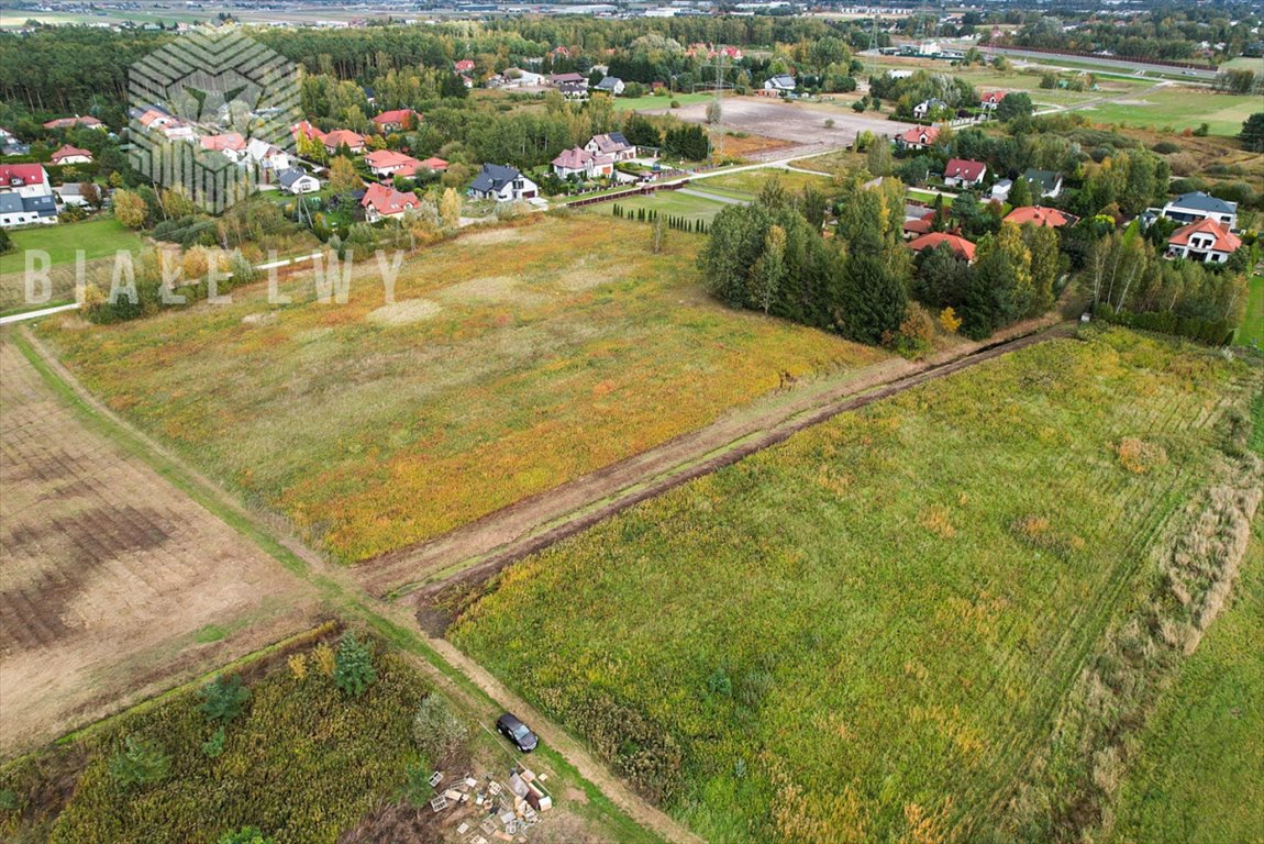 Działka przemysłowo-handlowa na sprzedaż Wilcza Góra, Gwiaździsta  8 889m2 Foto 2