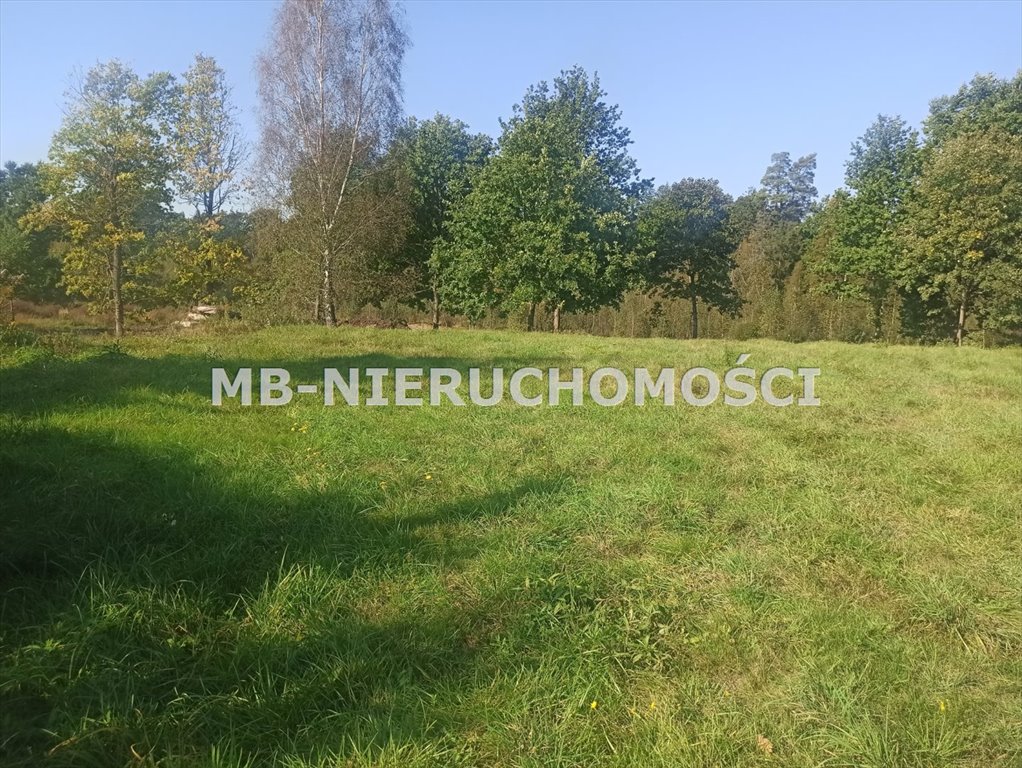 Działka rolna z mediami, las, zabudowa, 9118 m² - polecam! Ługwałd  9 118m2 Foto 1